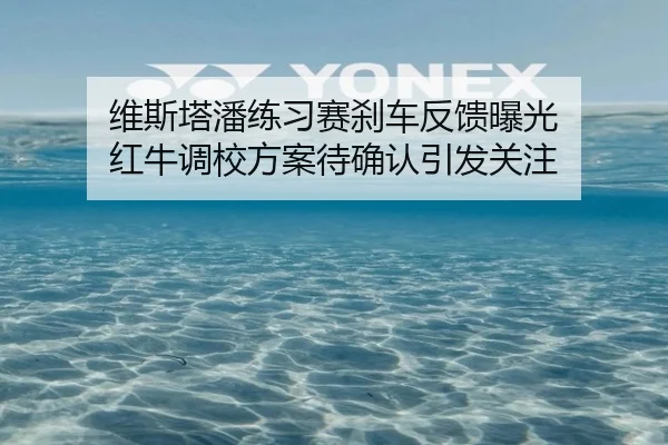 维斯塔潘练习赛刹车反馈曝光 红牛调校方案待确认引发关注