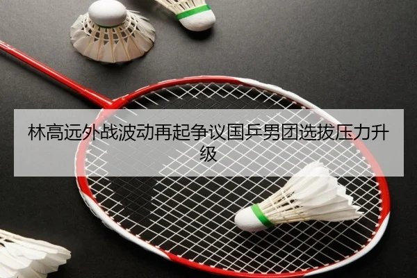 林高远外战波动再起争议国乒男团选拔压力升级