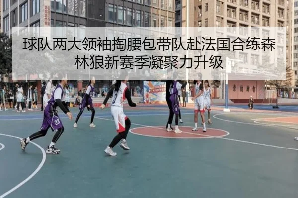 球队两大领袖掏腰包带队赴法国合练森林狼新赛季凝聚力升级